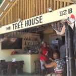 The Tree House